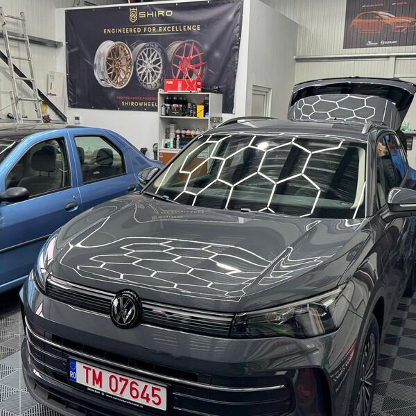 Lucrare Law Customs Timișoara - photo-26.jpg